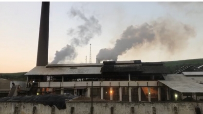 Com agosto chuvoso, Coaf começará moagem com expectativas melhores