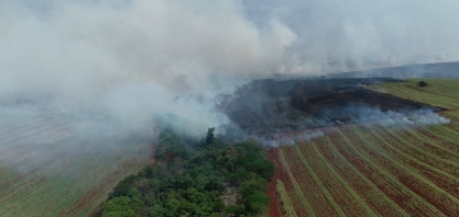 Com geadas e incêndios, Unica prevê quebra histórica de 75 milhões de toneladas de cana no Centro-Sul