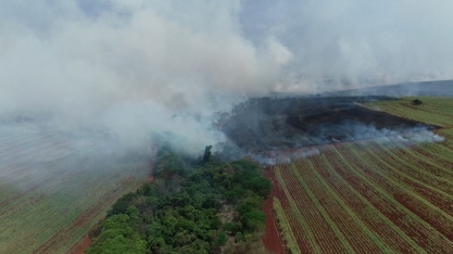 Com geadas e incêndios, Unica prevê quebra histórica de 75 milhões de toneladas de cana no Centro-Sul