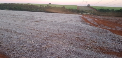 Coopercitrus capacita time técnico para prestar suporte e recuperar canaviais pós-geada