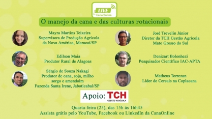 A cana está perdendo áreas para a soja?