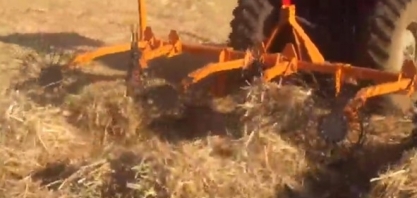 Desenleiramento facilita brotação da cana em períodos com baixas temperaturas