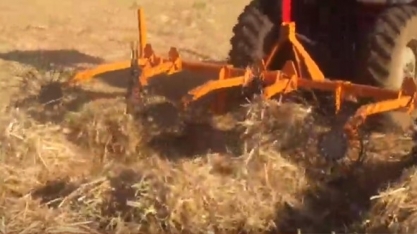 Desenleiramento facilita brotação da cana em períodos com baixas temperaturas