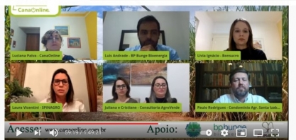 Sustentabilidade é custo para o setor sucroenergético?