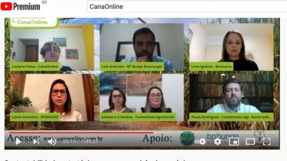 Sustentabilidade é custo para o setor sucroenergético?