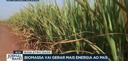 Energia limpa: desafios do Brasil para um futuro verde