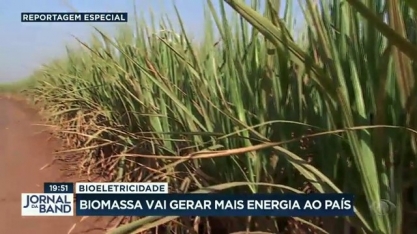 Energia limpa: desafios do Brasil para um futuro verde