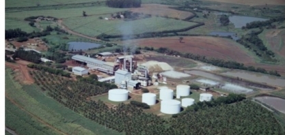 Usina Bioenergia do Brasil está à venda