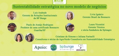 Sustentabilidade estratégica no novo modelo de negócios