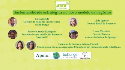 Sustentabilidade estratégica no novo modelo de negócios