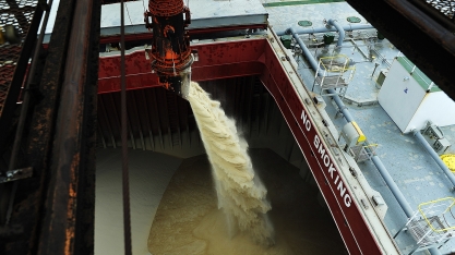 Por que sobe tanto o preço do açúcar no mercado futuro?