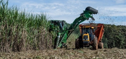 Safra de cana em AL já conta com duas usinas em funcionamento