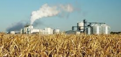 Biocombustíveis/EUA: governo Biden não deve elevar exigências de mistura