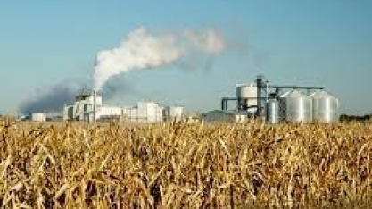 Biocombustíveis/EUA: governo Biden não deve elevar exigências de mistura
