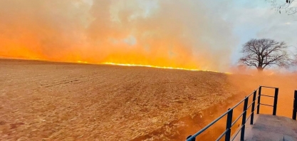 Seca, geada e baixa umidade aumentam risco de queimadas no Sul e Sudeste do país