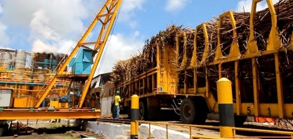 Sindaçúcar-AL : usinas devem moer 18,8 mi de toneladas de cana na safra 21/22