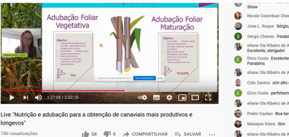 O uso da adubação foliar em cana-de-açúcar