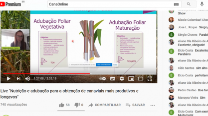 O uso da adubação foliar em cana-de-açúcar
