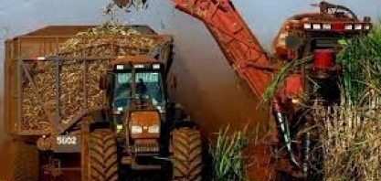 Colheita brasileira de cana na temporada 2021/22 é a menor em dez anos