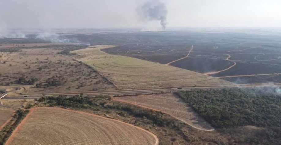 Canaviais aniquilados pela seca, geadas e incêndios. Crédito: Usina Atena