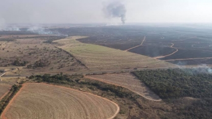 Quebra de safra canavieira na região Centro-Sul do Brasil pode chegar a 30%