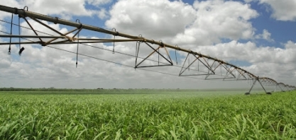 Irrigar cana-de-açúcar não é fácil