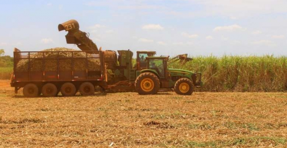 Mix de produção aumentou para açúcar, mas indústrias ainda destinam mais de 70% da matéria-prima para etanol - Crédito: Divulgação/Biosul