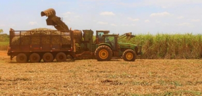 Exportações de MS sobem 16,5% com destaque para soja, celulose e açúcar