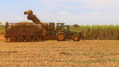 Exportações de MS sobem 16,5% com destaque para soja, celulose e açúcar