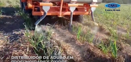 Uso simultâneo de adubo e óxido gera benefícios para soqueira de cana