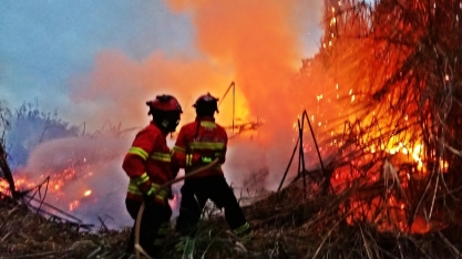 Incêndios se alastram pelo interior paulista e brigadas de incêndios das usinas trabalham exaustivamente