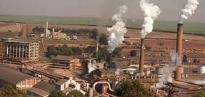 São Martinho sente alta dos custos de produção nesta safra, mas espera trégua em 2022