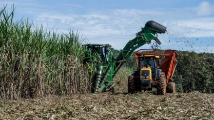 Alagoas é o estado do NE que apresenta melhor desempenho econômico na retomada