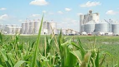Etanol/EUA: estoques devem ter ficado estáveis na semana passada, dizem analistas