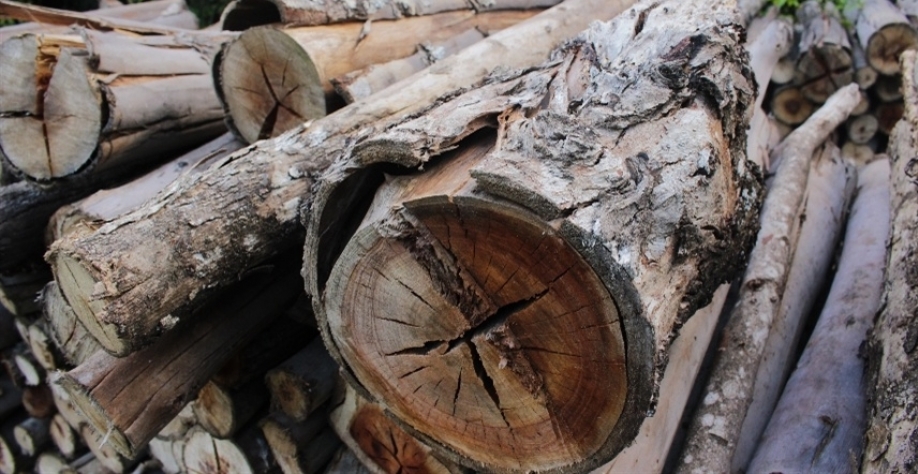 Imagem: Marcel Oliveira