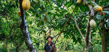 TNC lança guia sobre recuperação de solos degradados no Cerrado