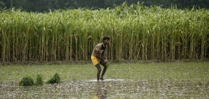 Chuvas de monções da Índia devem ficar dentro da média em agosto e setembro