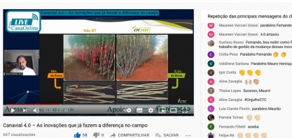 Cana BT tem proteção contra praga de forma contínua durante todo o ciclo da cultura