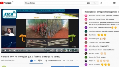Cana BT tem proteção contra praga de forma contínua durante todo o ciclo da cultura