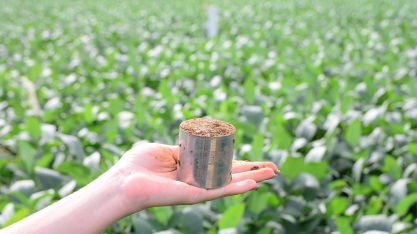 Primeira experiência de PSA no contexto da soja brasileira abre nova perspectiva para o agronegócio