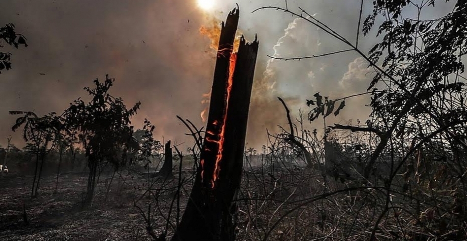 Queimada em Santo Antônio do Matupi: A devastação da floresta está no topo da cobrança de investidores estrangeiros ao governo.  Foto: Gabriela Biló/Estadão