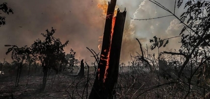 Em carta, grandes empresas pedem protagonismo do Brasil na agenda verde – Economia