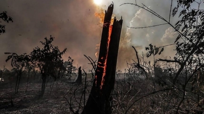 Em carta, grandes empresas pedem protagonismo do Brasil na agenda verde – Economia