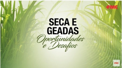 Especialistas dão dicas para produtores de cana que tiveram prejuízos com as geadas e a seca prolongada
