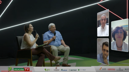 Megacana: desafios são muitos, mas mercado sinaliza bom preço para os produtos