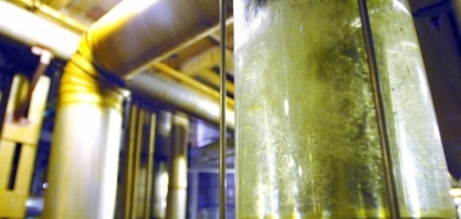 Produção de anidro cresce 42% na segunda quinzena de agosto