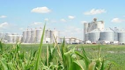 Etanol/EUA: produção aumenta 1,9% na semana, para 923 mil barris/dia