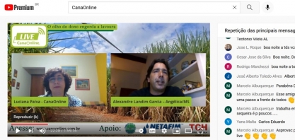 Lavoura canavieira perde menos com a seca e geada do que a soja e o milho