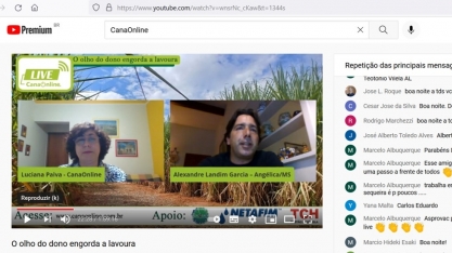 Lavoura canavieira perde menos com a seca e geada do que a soja e o milho