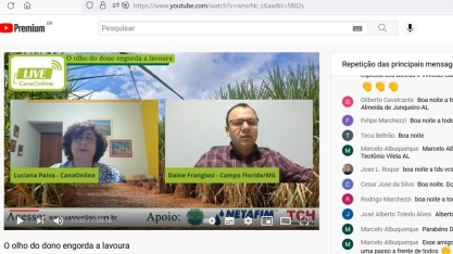 Mesmo com a seca e geadas, canaviais de Daine Frangiosi alcançam a média de 106 toneladas de cana por hectare